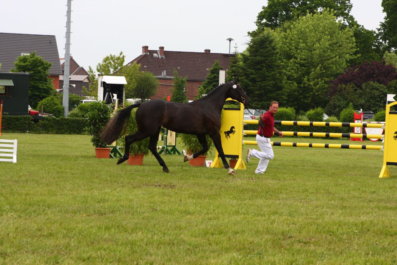 Bild 63 - Elmshorn am 9.6.10